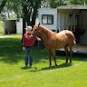 Meet your Posher, Grace